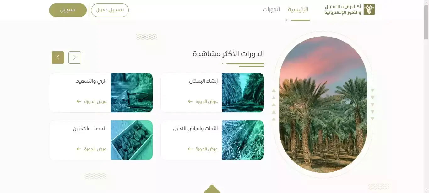 Palm and Dates Academy learning platform